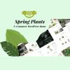 Spring-Plants